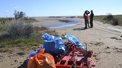 Basura en la playa de los Eucaliptos, en el Delta del Ebro