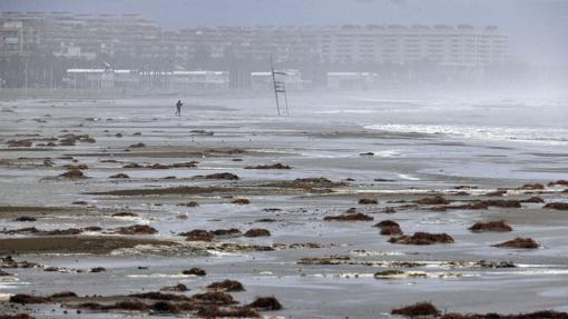 Una persona camina por la playa de La Malvarrosa de Valencia, afectada por el temporal de lluvia y viento que afecta a la Comunidad Valenciana