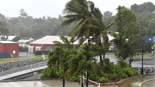 Palmeras se vencen por la fuerza del viento mientras el ciclón Debbie se aproxima a Queensland (Australia)