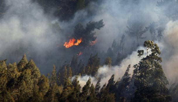 Uno de los incendios forestales registrado en Llanes, uno de los municipios asturianos asolados por el fuego en los últimos días