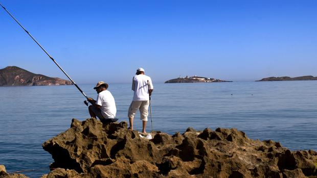 El Gobierno propondrá la creación de 9 nuevos espacios marinos protegidos