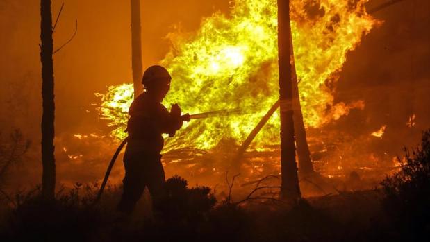 Cómo escapar de un incendio forestal