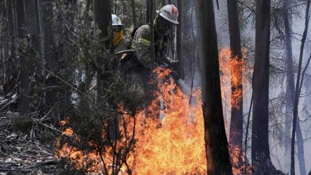 El 2017 ya es el peor año de incendios desde 2012 por la falta de lluvia y el calor