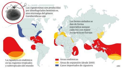 Distribución de la ciaguatoxina en el mundo