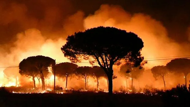 ¿Se pueden recalificar los terrenos quemados de Doñana?