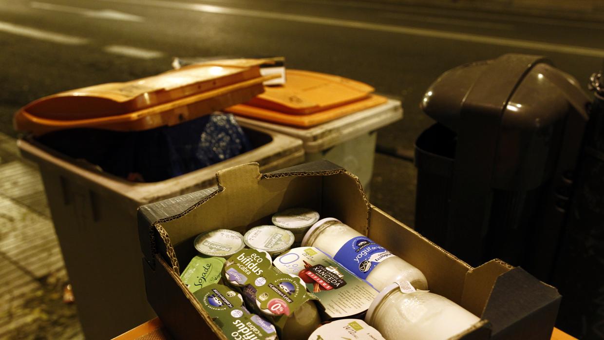 Comida abandonada en contenedores de la Comunidad de Madrid