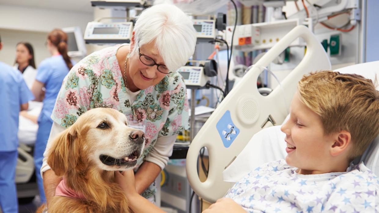 Terapia con perros