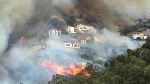 Imágenes del incendio de Madeira del pasado verano en Portugal