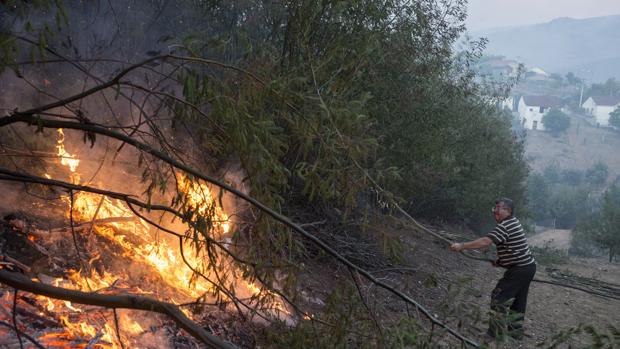 Prisión para el detenido en Maceda como presunto autor de 20 incendios forestales