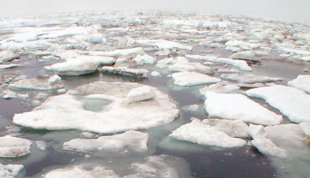 Trump abre la madre de todas las batallas: EE.UU. entra en el Ártico para explotar sus recursos