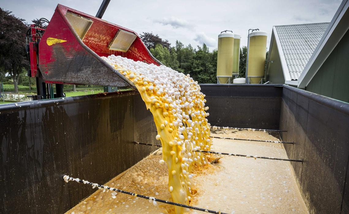 Vista de una máquina que transporta los huevos contaminados para desecharlos en una granja avícola