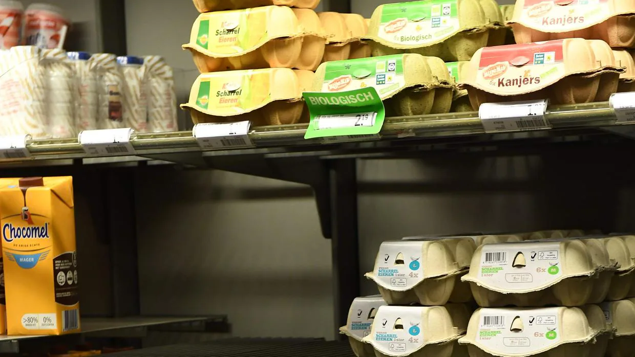 Partidas de huevos contaminadas por fipronil en un supermercado de Holanda