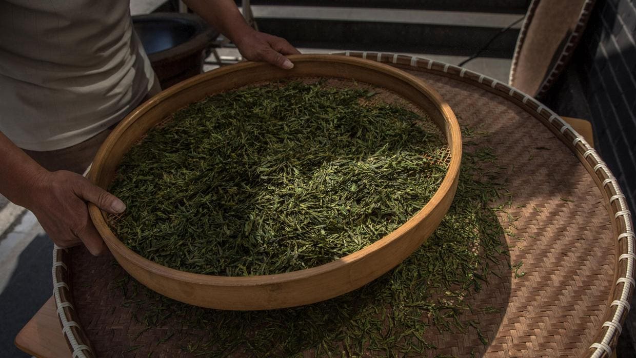 El galato de epigalocatequina, presente en el té verde, podría ayudar en el tratamiento del TEAF