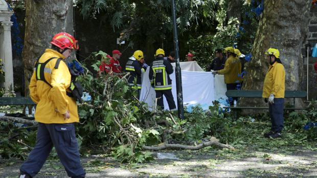 Siete personas siguen ingresadas por la caída del árbol en Madeira que dejó trece muertos