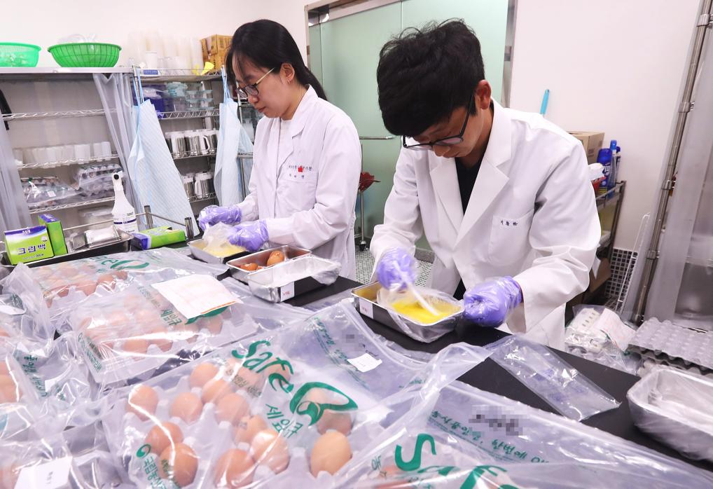 Varios trabajadores inspeccionan huevos para buscar posibles contaminaciones por el pesticida fipronil