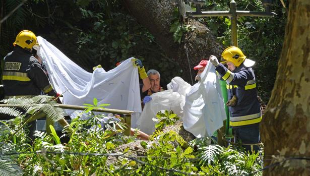 El padre que fue a pedir por la salud de su bebé y murió con él en brazos en Funchal