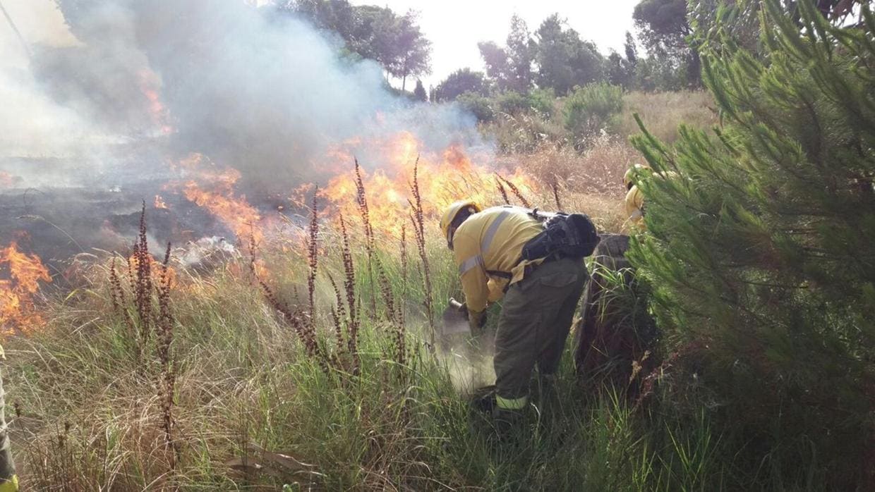 Operarios trabajan en la extinción del incendio de Doñana