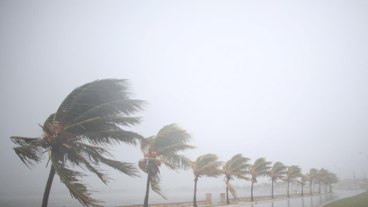 España destina 80.000 euros para ayudar a los damnificados del Irma en el Caribe