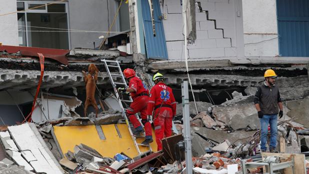 Las tareas de rescate tras el terremoto de México logran salvar la vida a once niños y una maestra