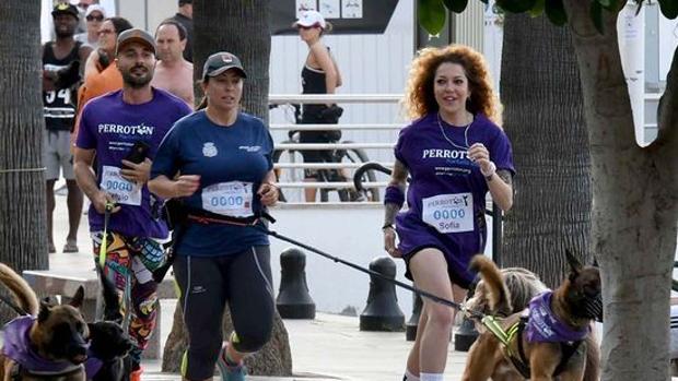 Perrotón llega a Madrid el domingo
