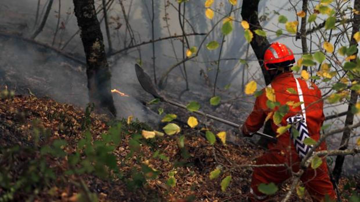 Un bombero intenta sofocar los rescoldos del fuego en Muniellos