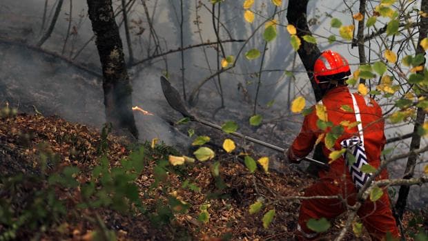 Asturias registra más de treinta incendios y se decreta el nivel 1 de alerta en León