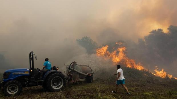 41 muertos y 316.000 hectáreas quemadas en Portugal