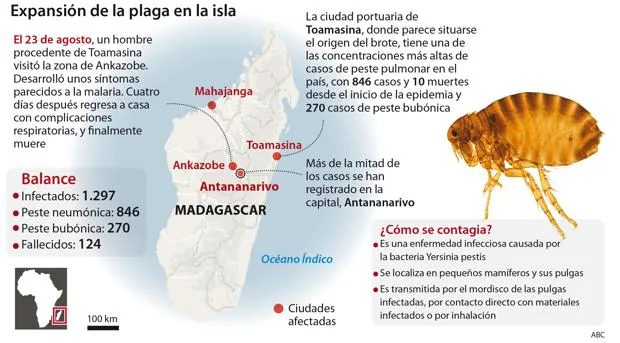 El brote más mortífero de peste del siglo XXI en Madagascar obliga a adoptar medidas de control