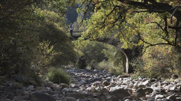 El fotógrafo Pedro Armestre retrata la sequía en España