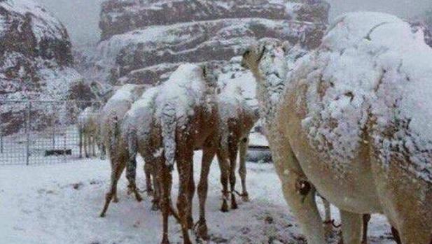 Espectacular nevada en el desierto de Arabia Saudí