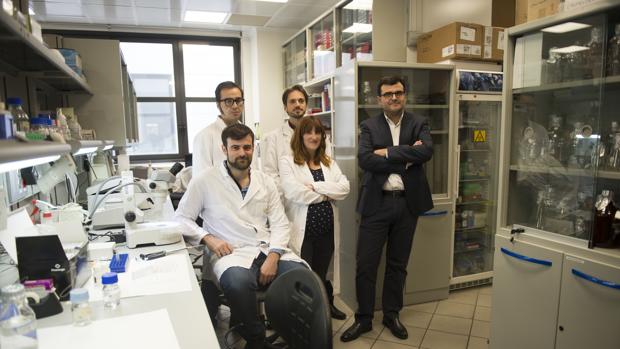 Una investigación abre la puerta a la curación definitiva del cáncer de colon