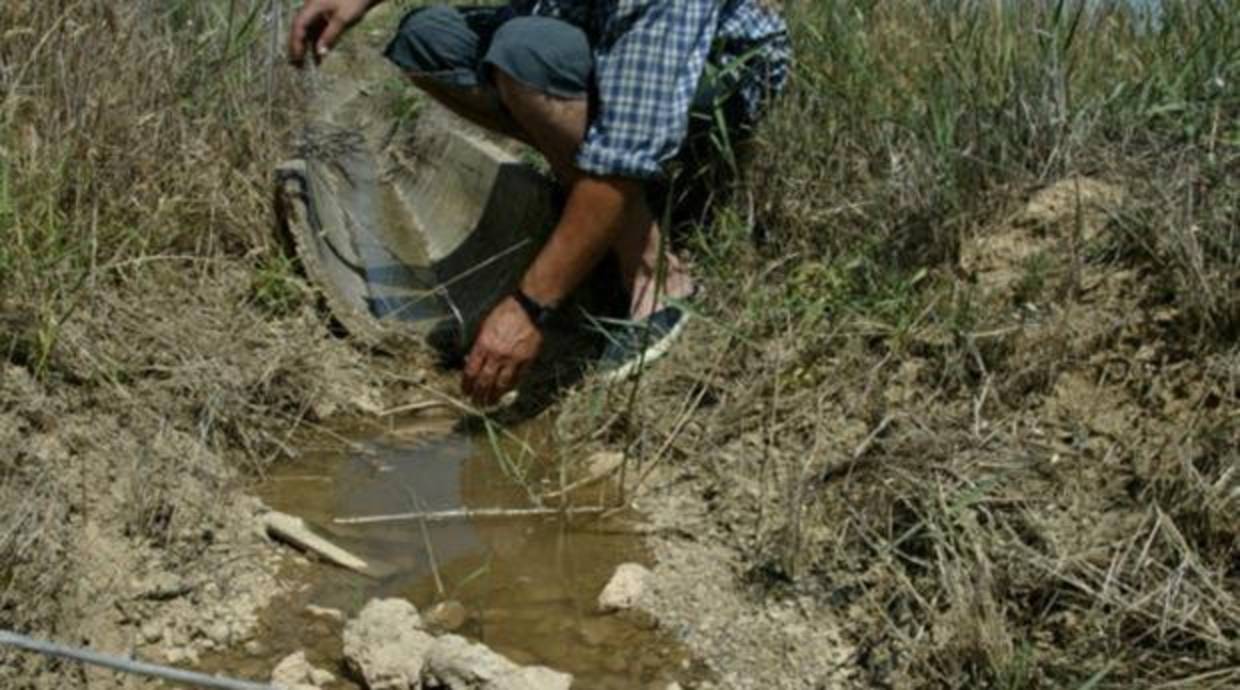 Los ríos españoles están «hormonados»: las cuencas del Júcar y del Ebro son las más contaminadas por plaguicidas