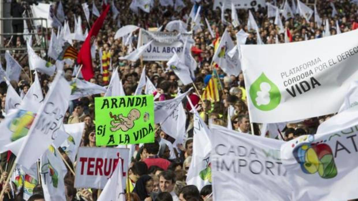 Manifestación Cada Vida Importa en contra del aborto de noviembre de 2014