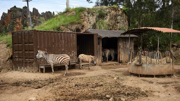 El parque de Cabárceno languidece