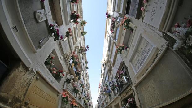 Palma podría llegar a pedir el catalán para los enterradores eventuales del cementerio