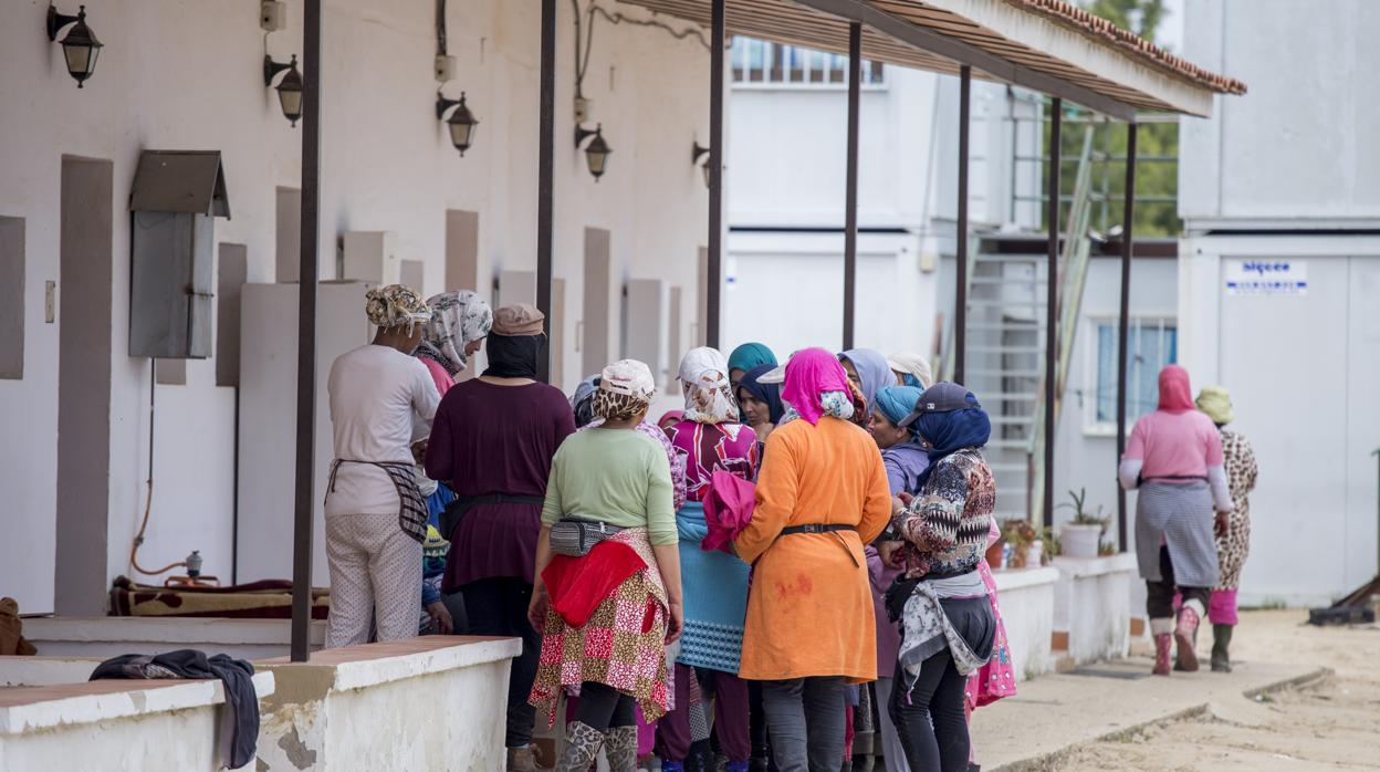 Trabajadoras fresas temporeras marroquies en las viviendas de una finca de fresas en Almonte