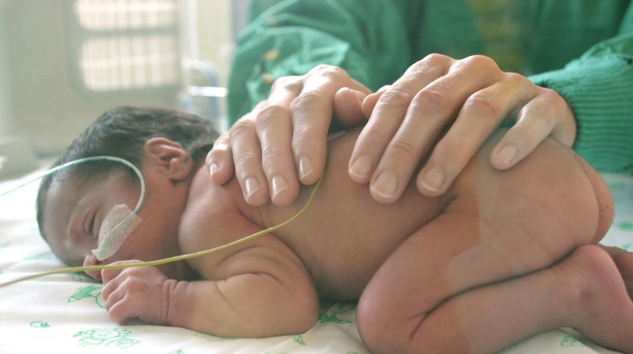 Un bebé prematuro recibe cuidados médicos