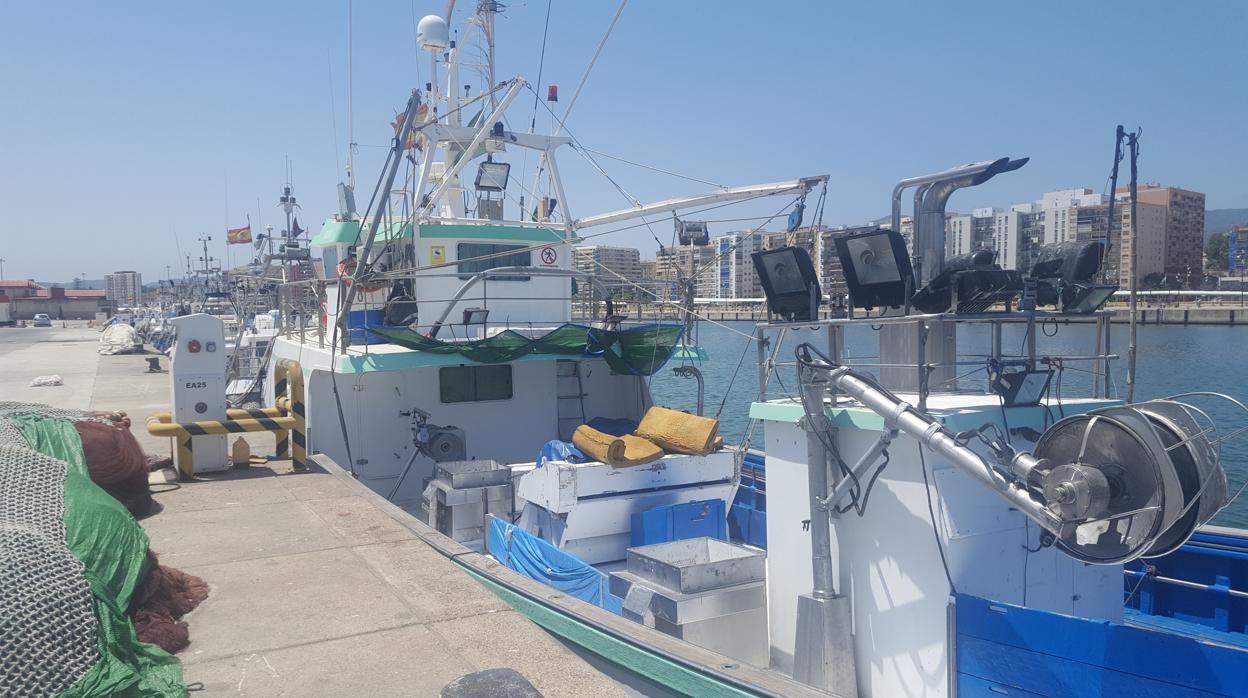 Flota marrada en el puerto de Algeciras