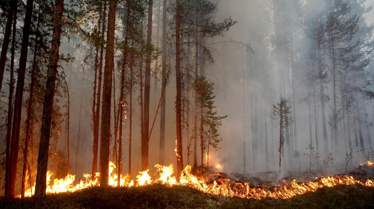 Incendios en Suecia