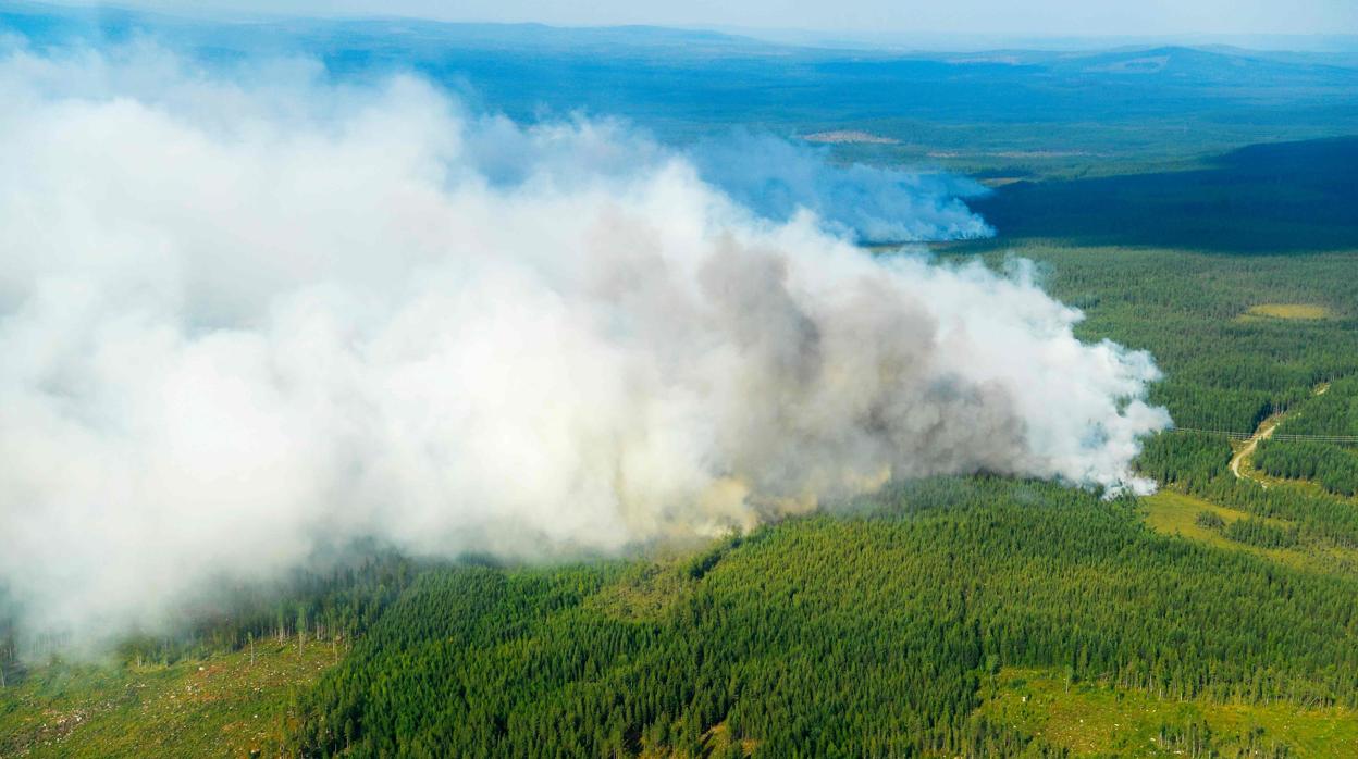 Suecia prevé tardar «semanas» en extinguir todos los incendios forestales