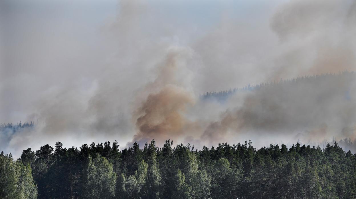 Incendio en un bosque de Suecia