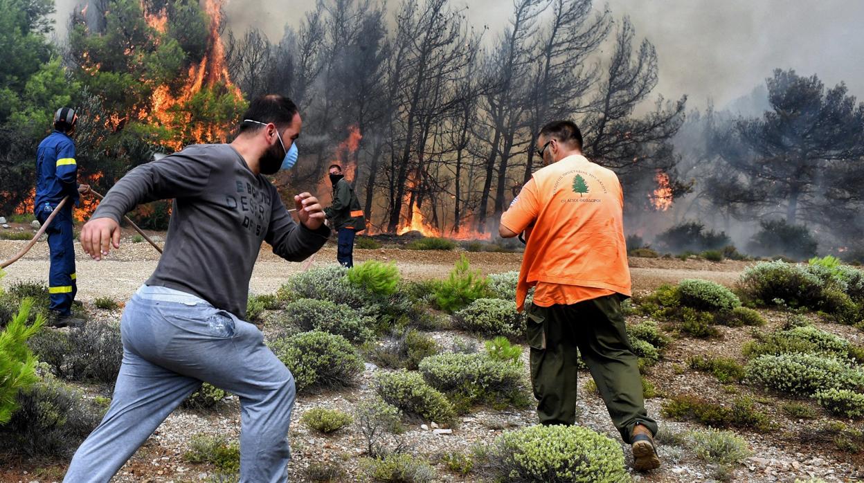 Varios bomberos y voluntarios luchan contra las llamas