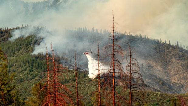 Un incendio cerca del Parque Nacional de Yosemite obliga a cerrarlo unos días