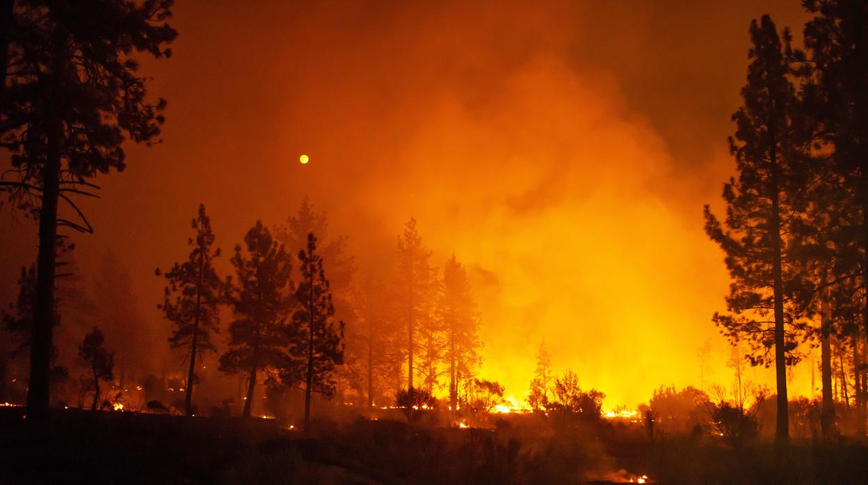 Imagen del incendio de California