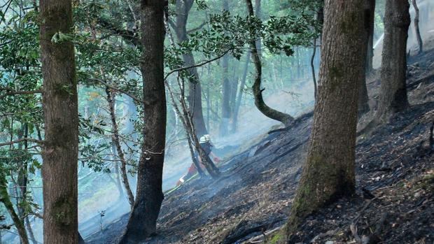 Logran estabilizar el incendio en Tarifa pese al fuerte viento de Levante