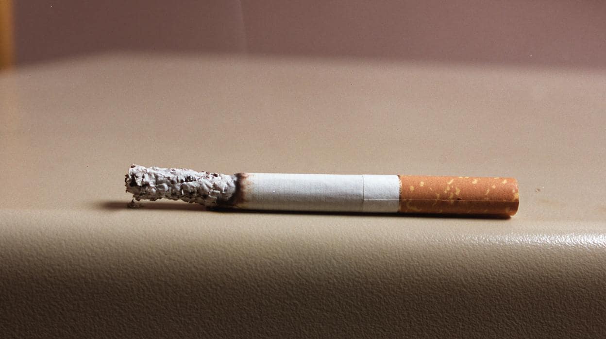 Un informe afirma que los cigarrillos son el mayor contaminante que ha creado el ser humano