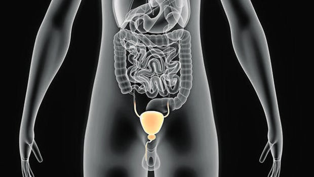 El cáncer acaba con la vida de diez millones de personas al año en el mundo