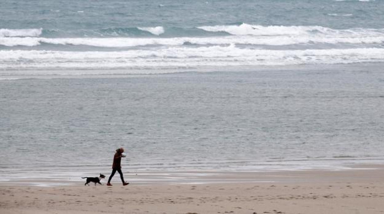 Un hombre y su perro pasean por la playa de Sabón en la localidad coruñesa de Arteixo