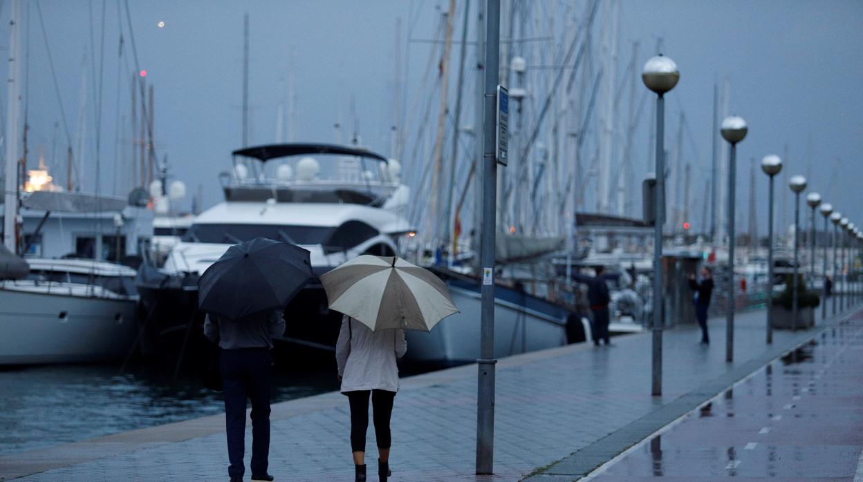 El paseo marítimo de Palma de Mallorca, el pasado jueves