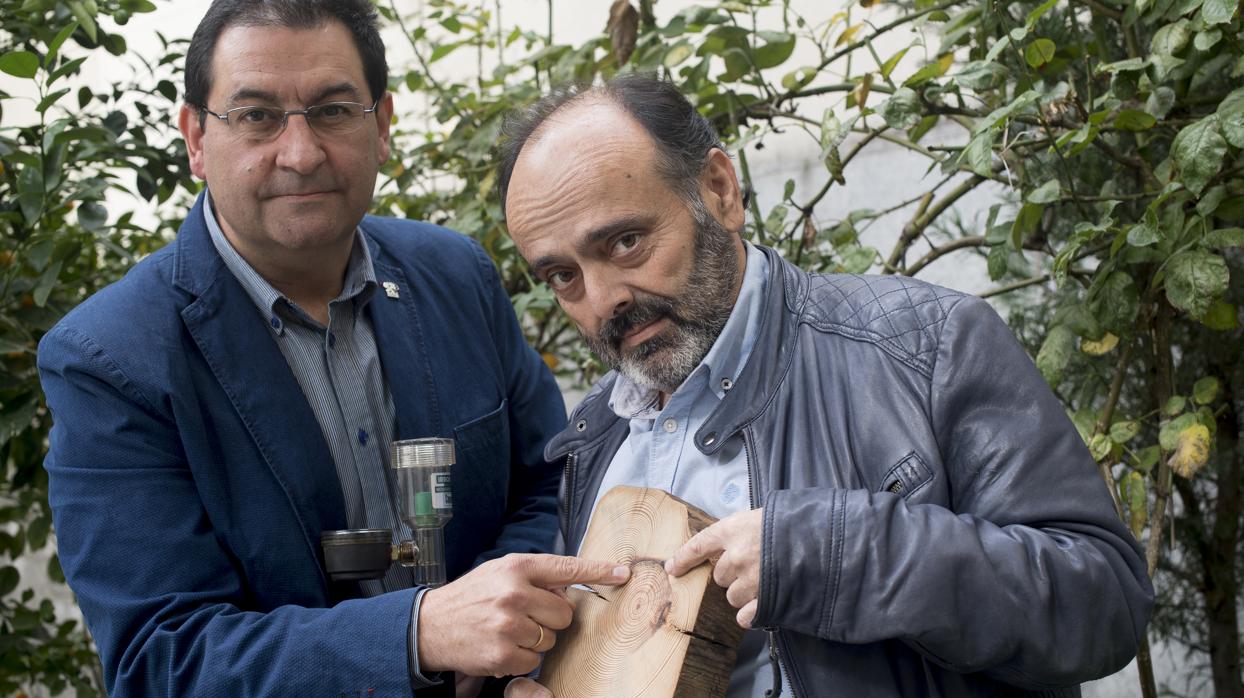 Andrés Díez y Mario Hernández señalan las heridas de un árbol por el efecto de una riada